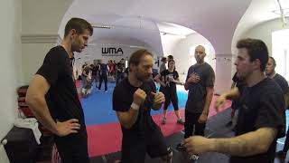 Martin Wheeler Systema Street Boxing Seminar Austria [upl. by Koo908]