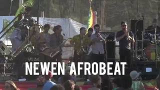 Newen Afrobeat live at ROTR 2016  Nación Nueva [upl. by Anaujait255]