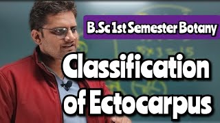 Classification of Ectocarpus bedkdian bsc1stsemester mjpru botany [upl. by Van887]