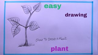 How To Draw A PLANT EasyPLANT Drawing [upl. by Annavoj532]