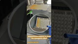 Broth microdilution based on chequerboard analysis to study the synergistic effect viral lablife [upl. by Allerbag]