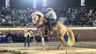 🐴 CABALLOS BAILADORES 🎡 FERIA GANADERA DE CULIACÁN 💯 [upl. by Zanlog]