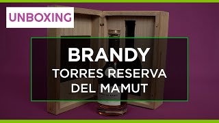 Brandy Torres Reserva del Mamut [upl. by Ahsenaj708]