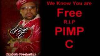 Pimp C Obituary [upl. by Christen]