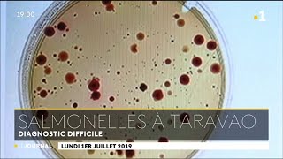 Les analyses à la salmonelle négatives dans lélevage de Taravao [upl. by Reeher156]