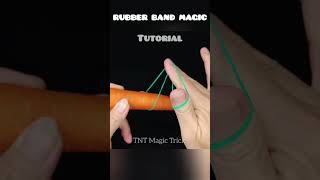 Best Rubber Band and Carrot Magic trick 233 [upl. by Iuqcaj722]