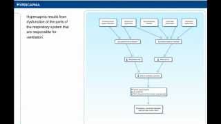 Pathology of hypercapnia [upl. by Naujid]