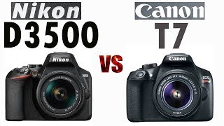 Nikon D3500 vs Canon T7 2000D [upl. by Lekim621]