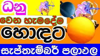 ලග්න පලාඵල  Lagna palapala  Monthly predictions  2024 September astrology predictions [upl. by Neros573]