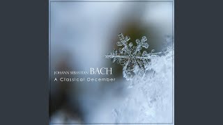 JS Bach Concerto for Oboe from BWV 105 170 amp 49  3 Adagio [upl. by Ainalem]