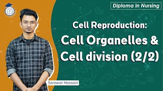 Diploma in Nursing Cell Reproduction Cell Cycle amp Cell division 22  Nursing Gurukul [upl. by Der412]