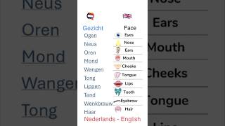 Gezicht Face  Nederlands English [upl. by Clarisa]