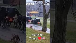 Amish for Trump ♥️🇺🇸💥🎉 check out part 2 with Kamala Karen response😂saveamericatrumptds [upl. by Om]