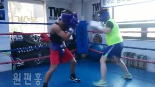 Naoya Inoue tencounts quotKorean Super Flyweight Championquot with a body shot in sparring [upl. by Tannenwald]