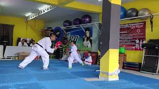 primer examen de Taekwondo [upl. by Athalie]