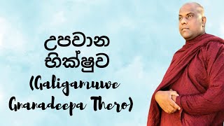 උපවාන භික්ෂුව Galigamuwe Gnanadeepa Thero [upl. by Moseley]