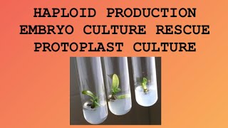 Haploid Production  Embryo culture Rescue  Protoplast culture and its Isolation  Amitian Notes [upl. by Lovich]