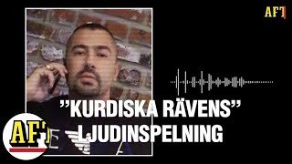 Hör ”Kurdiska rävens” inspelning – därför sprids den på Tiktok [upl. by Comptom432]