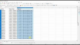 Kurs Excel  łączenie tekstów z różnych komórek i z własnym tekstem [upl. by Niassuh694]