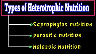 types of heterotrophic nutrition  What is heterotrophic nutrition  Life Processes Class 10 CBSE [upl. by Thorn367]