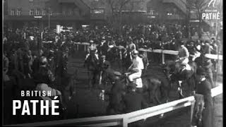 The Grand National Shorts 1925 [upl. by Earaj]