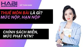 Thuế Môn Bài Là Gì Hạch Toán Thuế Môn Bài Như Nào [upl. by Neeroc]