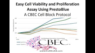 Cell Viability and Proliferation Assay with PrestoBlue [upl. by Hokanson]