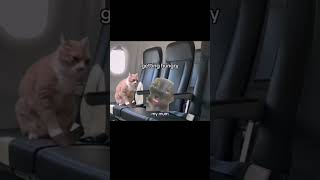 Stages of going to the airport part 2 funny memes cat [upl. by Lipps]