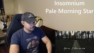 Insomnium  Pale Morning Star ReactionRequest  9 Minutes of Beauty [upl. by Cyndy485]