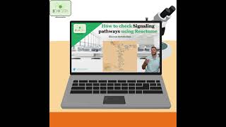 How to check Signaling Pathways using Reactome signaling pathwayschool short bioinformatics [upl. by Emmey]