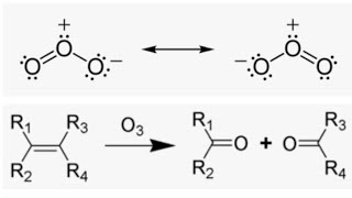 Ozonolysis Reaction Mechanism organic chemistry [upl. by Mcwherter]