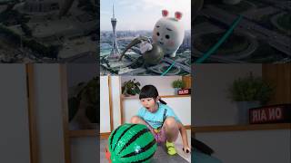 Newest Mochi funny Best video 😂😂😂mochi [upl. by Richards]