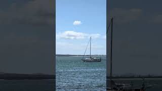 Beautiful day at Dutchies 🏖️ nelsonbay beach portstephens shorts [upl. by Diraj]