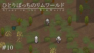 【RimWorld Biotech】ひとりぼっちのリムワールド【ゆっくり実況】10 [upl. by Olihs]