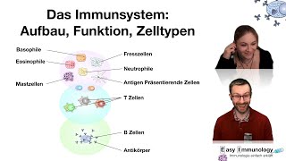 Easy Immunology Spezial Das Immunsystem Aufbau Funktion Zelltypen [upl. by Hsur42]