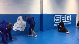 SBG Bishop Auckland Brazilian Jiu Jitsu BJJ amp Judo Seminar  Glyn Powditch [upl. by Ahsiekit347]