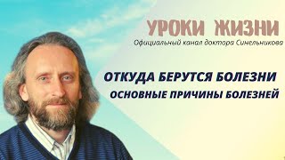 Основные причины болезней и что такое здоровьеВалерий Синельников [upl. by Schlessinger]