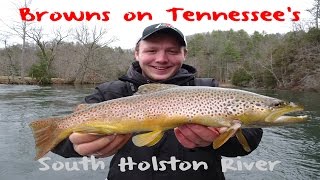 South Holston River Brown Trout Fishing [upl. by Boys]