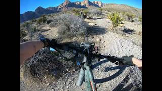 MOUNTAIN BIKE ALPINE ASSAULT REAL LIVE UNCUT UNFILTERED [upl. by Duquette283]