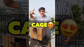 New Cage For Cats 💀😍  Mini Vlog shorts minivlog ashortaday vlog tranding cats [upl. by Idoc467]