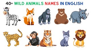 English Vocabulary  Name Of 40 Wild Animals In English  Animal Names  Animal English Names [upl. by Esirehc]