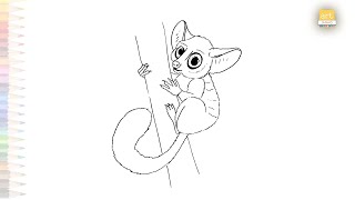 Galago animal drawing  bush babies drawings  How to draw Galago primate drawing step by step [upl. by Eugaet]