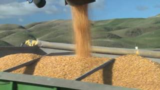 Corn harvest 2010 with a John Deere 9650 on tracks [upl. by Ailuy]