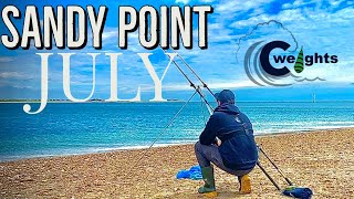 Tope amp Smoothound Fishing at Sandy Point Hayling Island in July  Sea Fishing UK [upl. by Wilek]