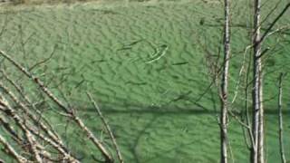 Fliegenfischen im Landhotel Almrösl  Huettschlag  Großarl  Salzburger Land [upl. by Alket]