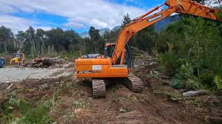 Excavadora Doosan 140lc Seleccionando Troncos [upl. by Gemini430]