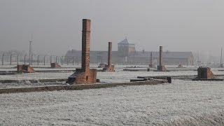 INSIDE AUSCHWITZ  Das ehemalige Konzentrationslager in 360°  WDR [upl. by Arahd]