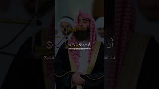 Sourate Maryam verset 8894  🎙️ Muhammad Al Luhaidan [upl. by Danczyk262]