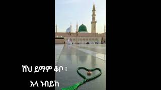 sheh emam kobo ala nebiyike  ሽሀ ኢማም ቆቦ አላ ነብይከ [upl. by Laurance]