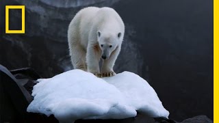 Climate Change Impacts All of Us But Theres Hope  National Geographic [upl. by Netsud]